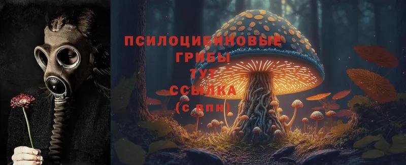 продажа наркотиков  Уфа  OMG зеркало  Псилоцибиновые грибы Magic Shrooms 